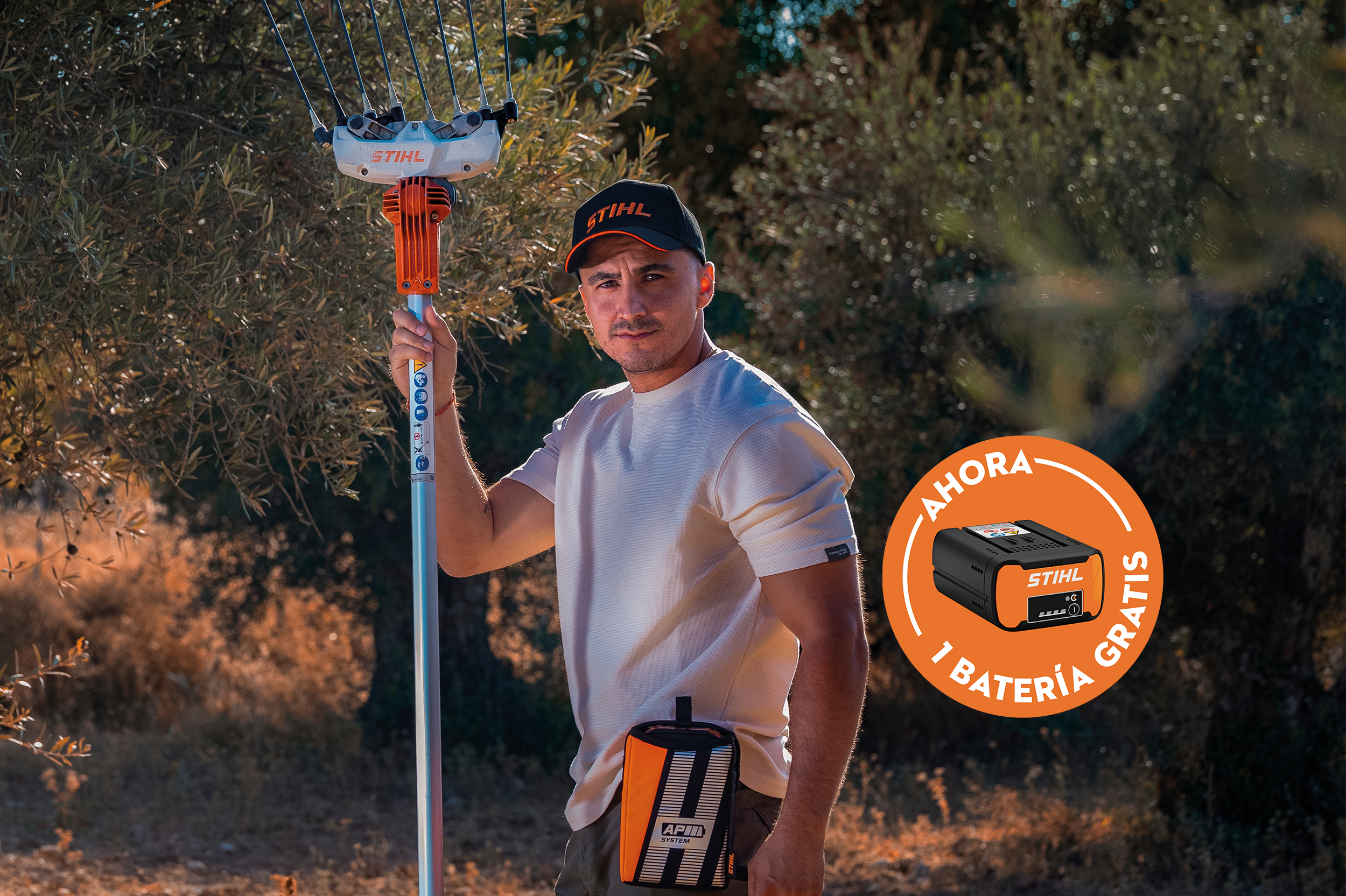 Recogida de aceituna con vareador de batería STIHL SPA 130